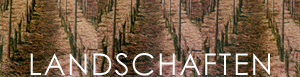 Titelbild Landschaften